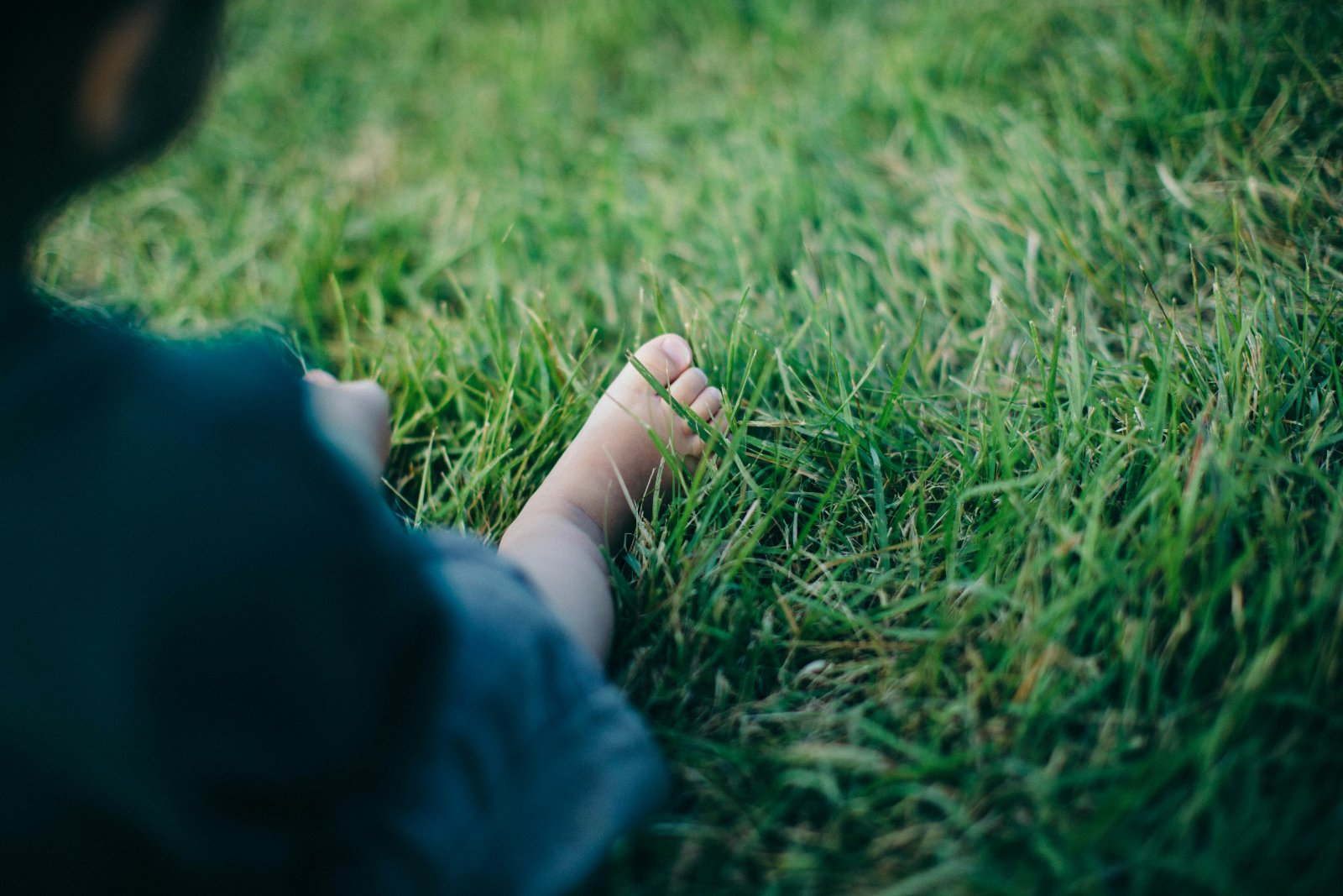 Parcours pieds nus : sensations et équilibre en plein air